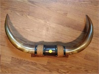 decorative horns 20" L