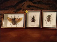 3 bugs in frames