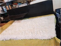 AREA RUG 3 BY 2 FEET