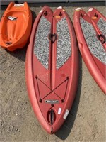 Lifetime paddle board MSRP $799