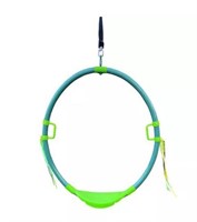 Hoopla Ring Swing