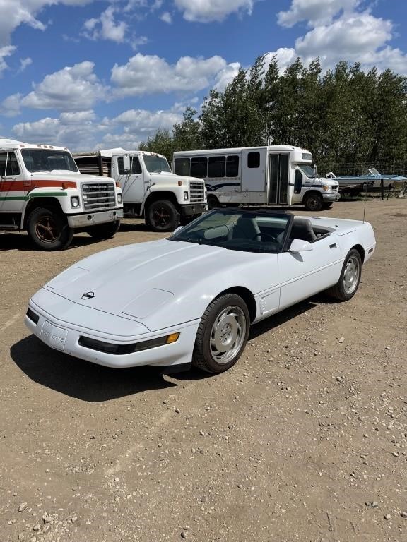 August 2021 Consignment Auction