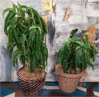 85 - 2 ARTIFICIAL PLANTS MAX 40"H