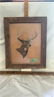 J. Parsons 2000 deer drawling