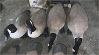 (4) full body goose decoys