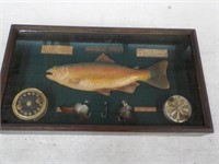 3D Rainbow Trout Shadow Box Vintage Reels And