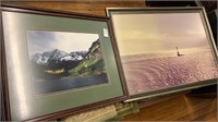 Two large wildlife pictures in frames