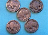Bag of 5 total assorted BUFFALO Nickels Mixed