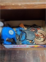Box Lot of Misc Dog Items