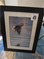Custom Framed, Double Matted 27.5x36" Eagle