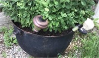 Cast Iron Kettle, Used As Planter, Likely Broken