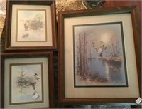 3 Waterfowl Prints