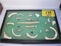BONES AND ARROWHEADS IN DISPLAY CASE