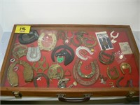 LARGE GROUP HORSESHOE COLLECTIBLES IN OAK DISPLAY