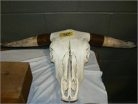 COW SCULL