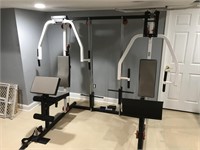 Weilder Pro 9950 Multi Station Fitness machine