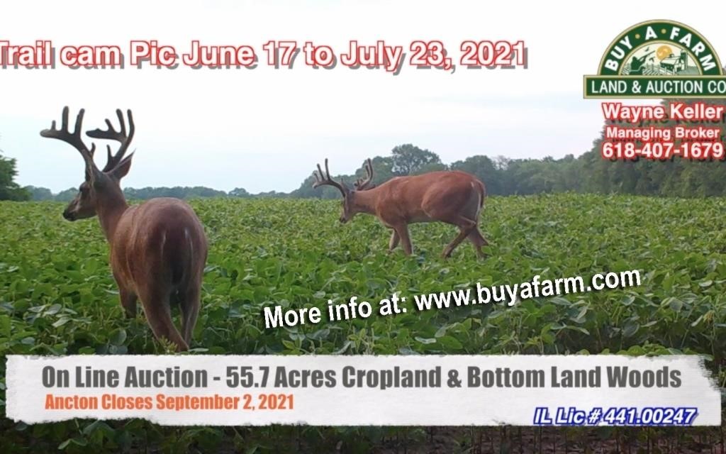 St.Clair County IL 55 ac Cropland & Wooded
