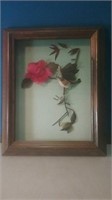 Framed feather art bird branch and flower 9 by 1