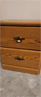 oak 2 drawer file cabinet