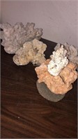 (4) Large Coral Pieces