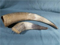 (2) Animal Horns