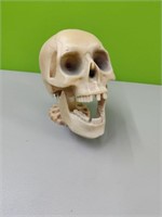 Scary Skull. Motion Activated  Mouth Opens &