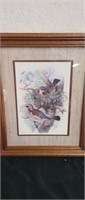 19X14 framed bird picture