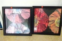 2-Piece Poppy Floral Art Prints, Framed