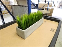 Faux Grass in Long Concrete Tray