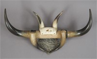 Mounted Bull Horns - Tijuana Souvenir - Mexico