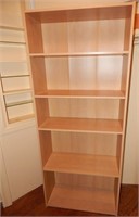 Tall Storage or Book Shelf