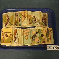 Lot of Various Bird Game Cards