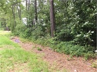 Lot 5 of Deer Trail Enterprises, NC 53 Hwy E White