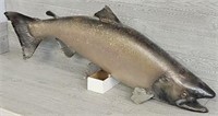 King Salmon