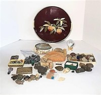 Polished Geode, Petrified  Pieces and