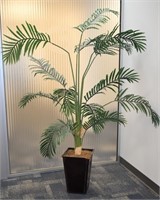 LARGE PALM TREE