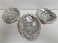 (3) Abalone Shells