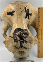Fossilized Bull Walrus skull w/ several scrimshaw