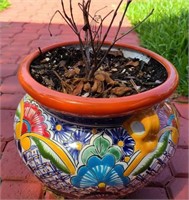 Talavera with Plant