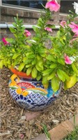Talavera Potted Periwinkle Plant