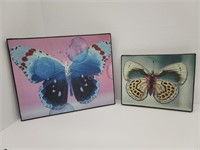 Pair of Butterfly Canvas Prints