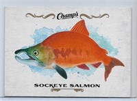 Champ's Fish F-25 Sockeye Salmon