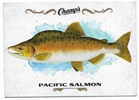 Champ's Fish F-18 Pacific Salmon