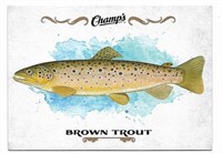Champ's Fish F-5 Brown Trout