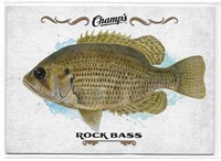 Champ's Fish F-21 Rock Bass
