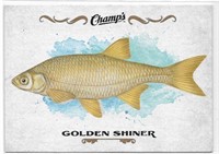 Champ's Fish F-27 Golden Shiner