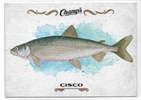 Champ's Fish F-11 Cisco