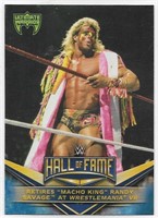 Ultimate Warrior WWE Hall Of Fame #17