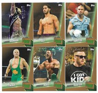 Lot of 6 WWE Money In The Bank Bronze Parallels