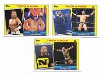 Lot of 3 2015 WWE Then & Now cards
